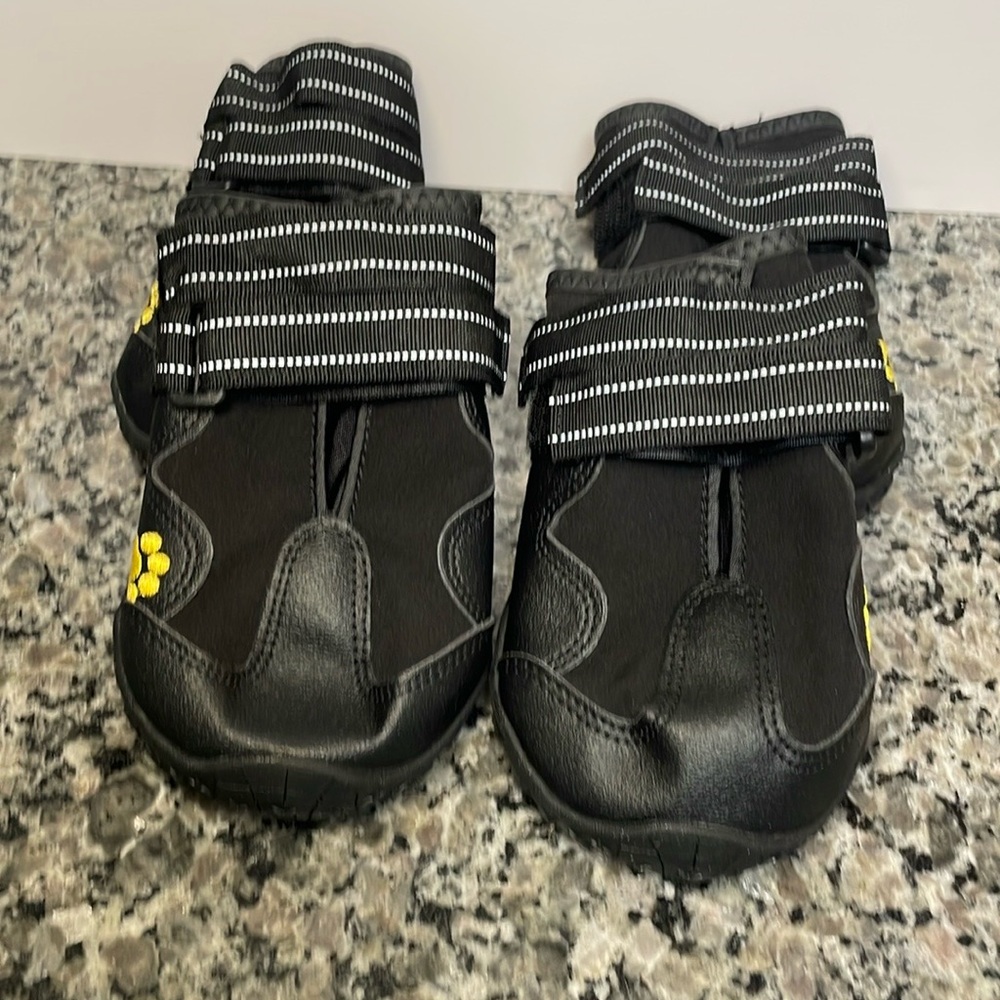Black dog shoes